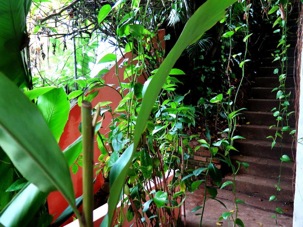 Para Ti Guesthouse Rio de Janeiro Exteriér fotografie